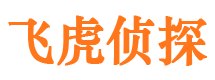 田林市婚姻调查